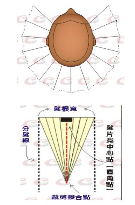 QQ截圖20200605150609.jpg