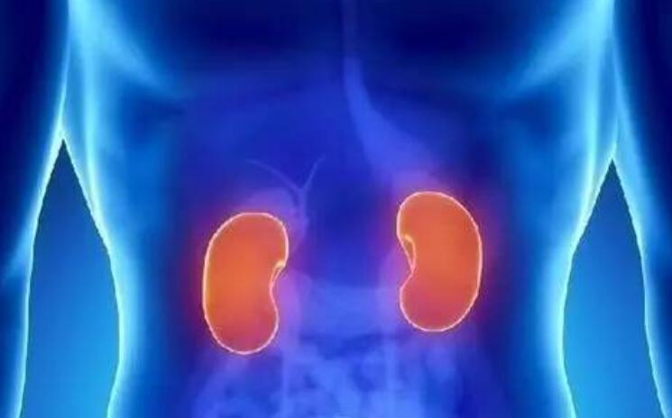廣西專業(yè)美容學校告訴你腎部保養(yǎng)有多重要