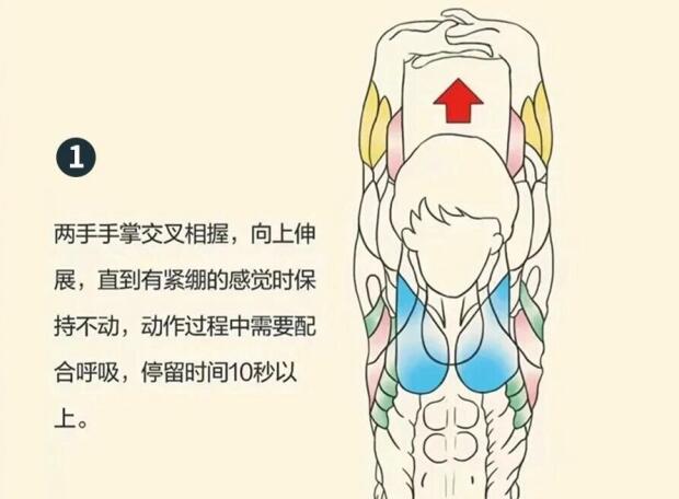 南寧美容師培訓(xùn)要學(xué)什么？背部護(hù)理就是其中一項(xiàng)