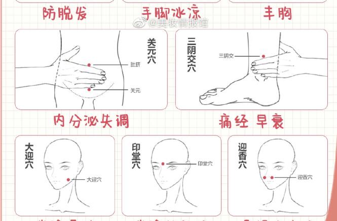 女生必備中醫(yī)美容穴位表，?廣西中醫(yī)美容專業(yè)學校分享