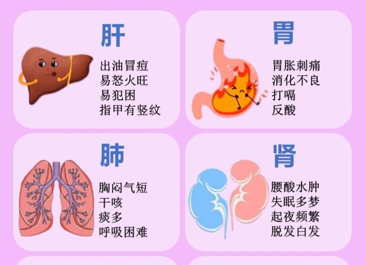 6大臟器保養(yǎng)指南，6款養(yǎng)生茶喝起來 ???