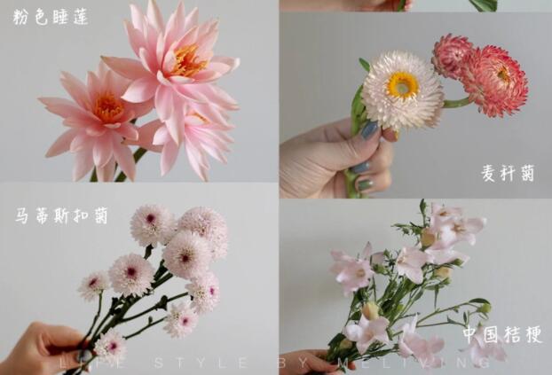 認(rèn)識(shí)常見花朵的名稱，廣西插花學(xué)校花藝培訓(xùn)基礎(chǔ)