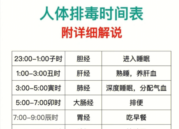 人體排毒時(shí)間表，南寧美容專(zhuān)業(yè)學(xué)校詳細(xì)解說(shuō)