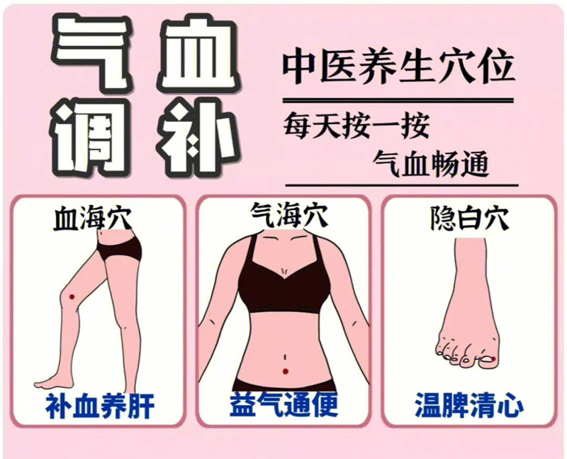具有補(bǔ)氣血功能的穴位，南寧學(xué)美容中醫(yī)