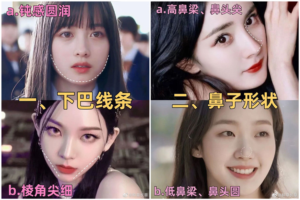 彩妝妝容分析分享：自測動物系長相？