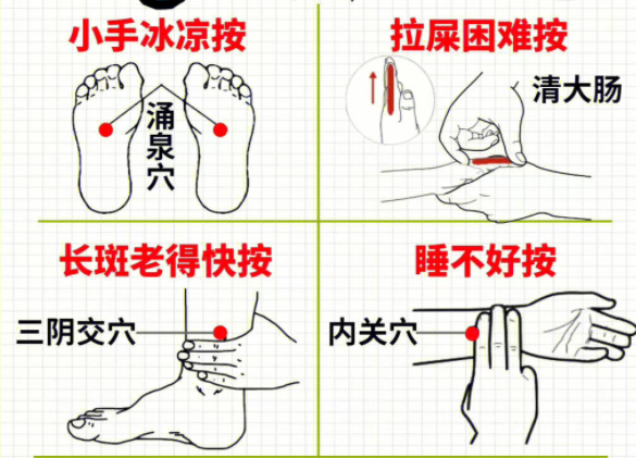 女性如何養(yǎng)生調(diào)理 ？南寧中醫(yī)美容培訓(xùn)分享