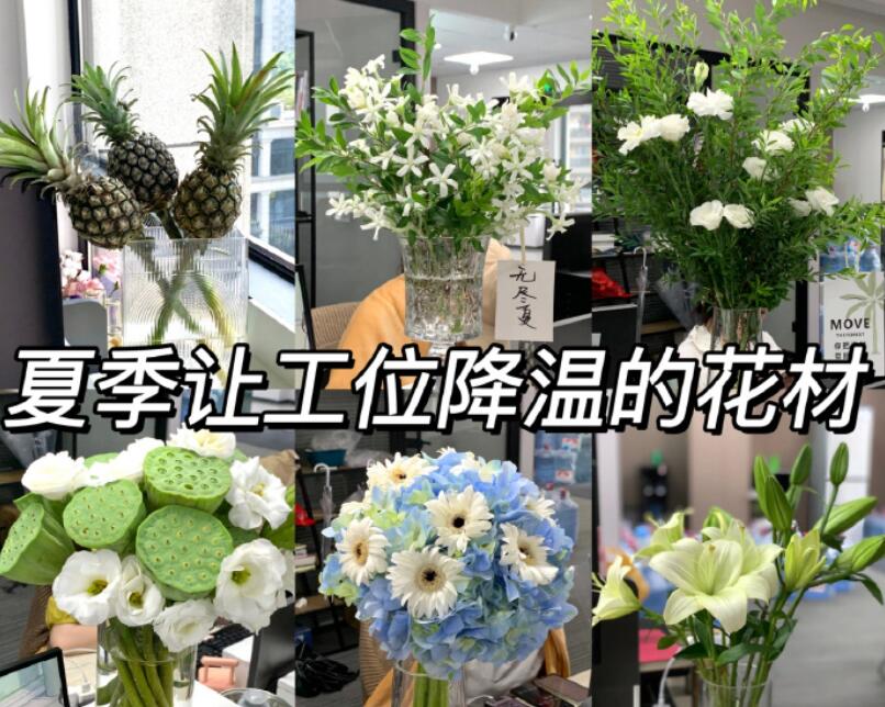 自帶降溫效果的花材，廣西學鮮花技術